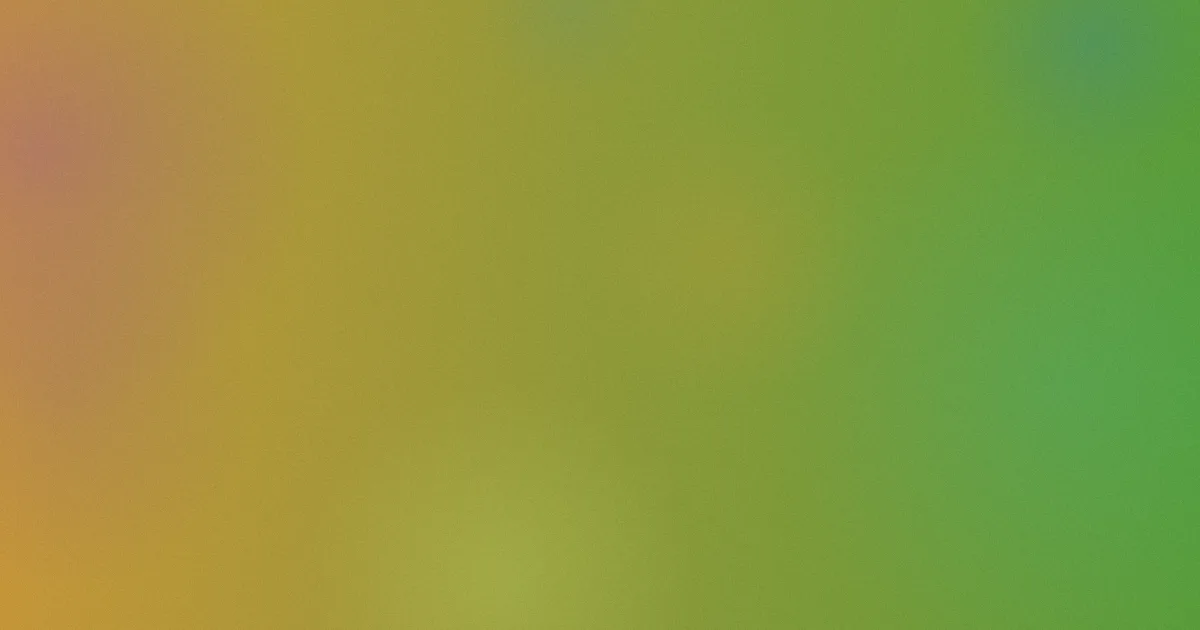 美女tk怎么用：实测笔记